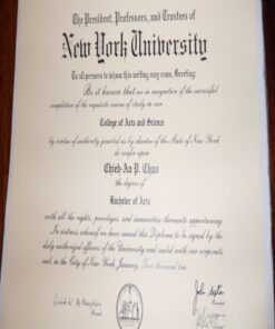 Buy college degree from the New York University Abu Dhabi