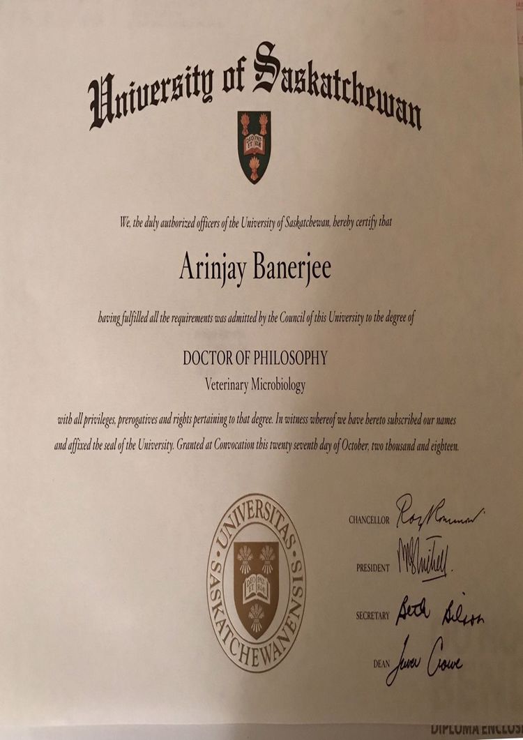 Buy Diploma Online - buy bachelors degree from the university of saskatchewan buy college degree from the university of saskatchewan